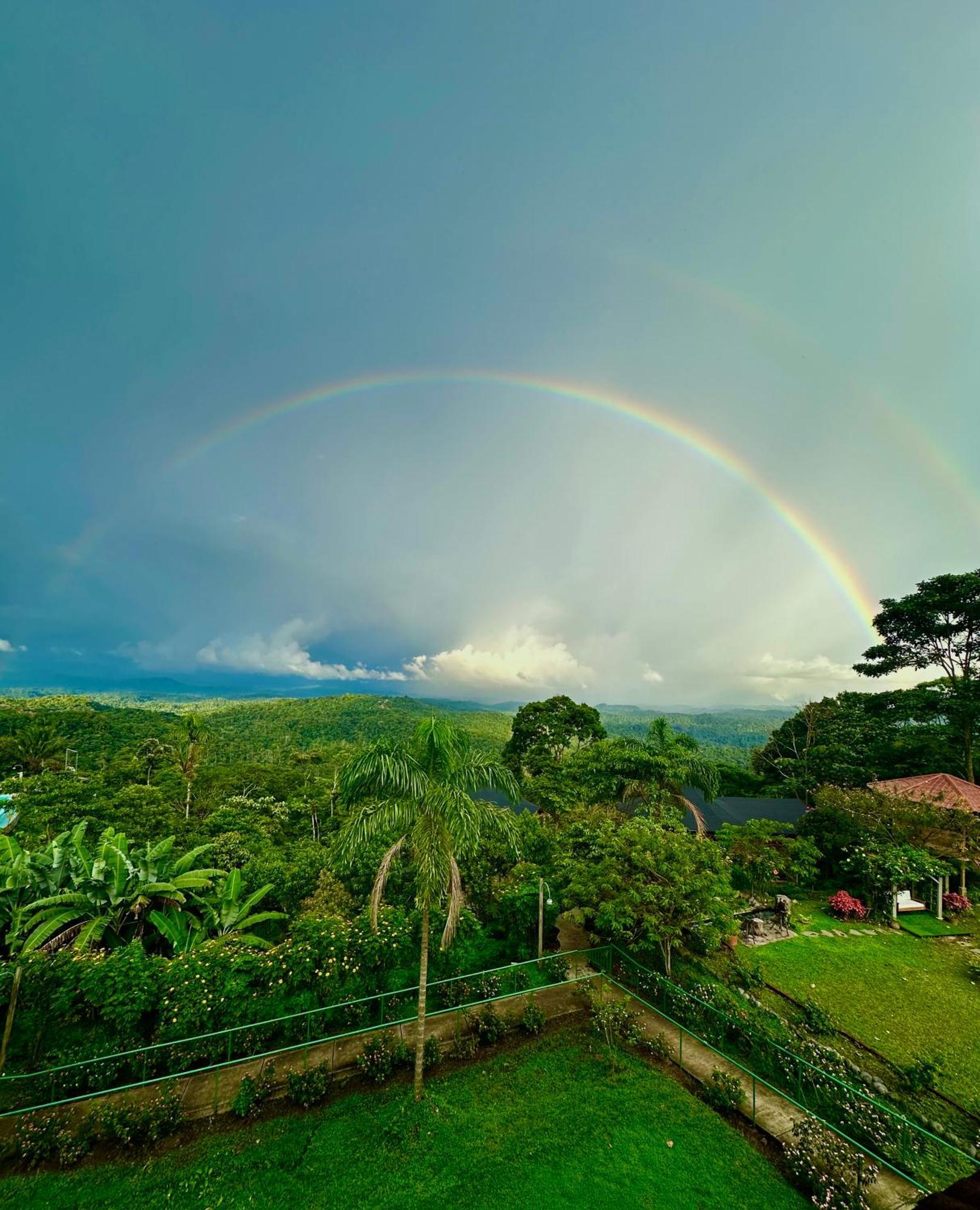 Heimatlos Amazon Lodge Puyo Ngoại thất bức ảnh