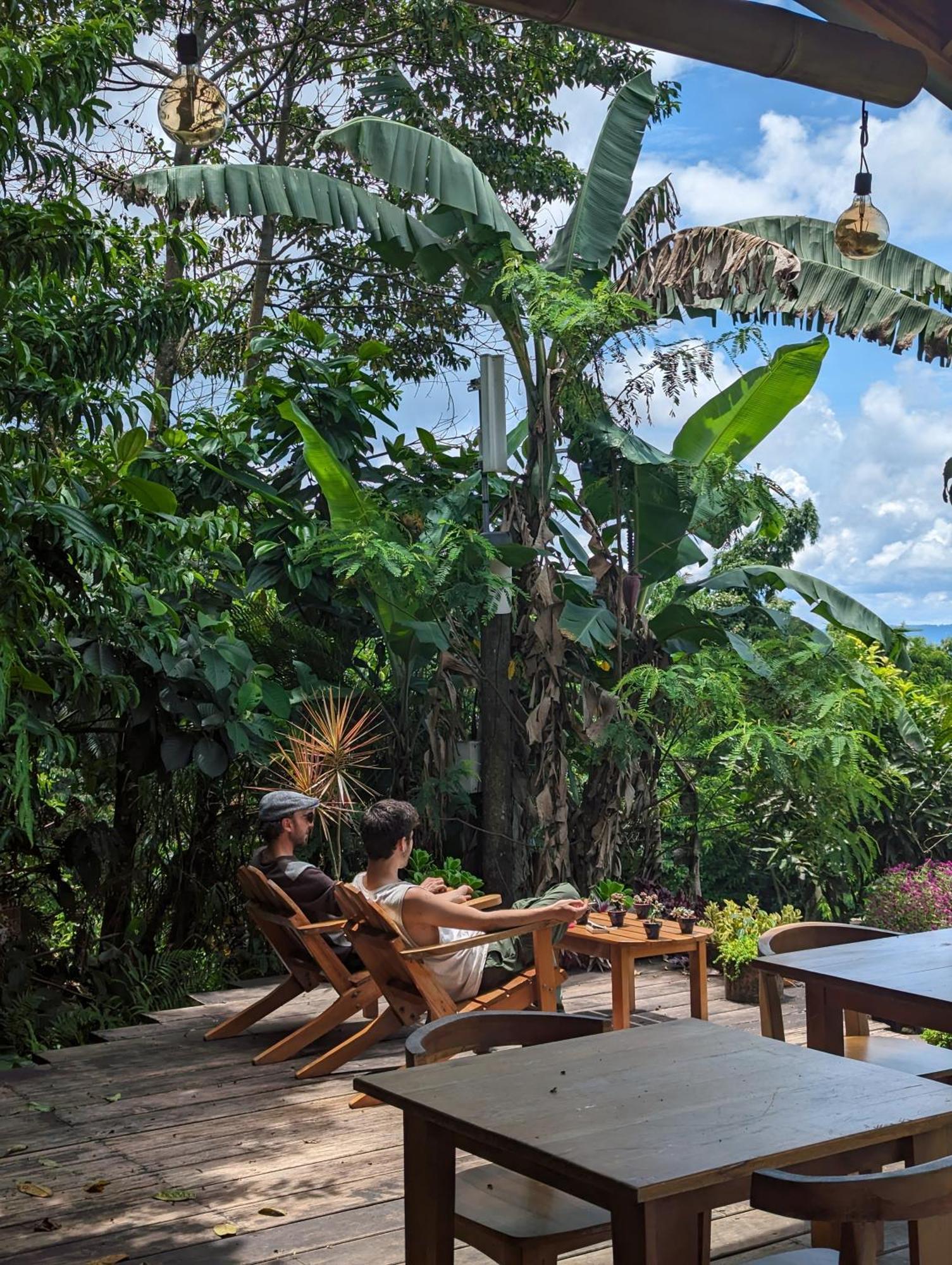 Heimatlos Amazon Lodge Puyo Ngoại thất bức ảnh