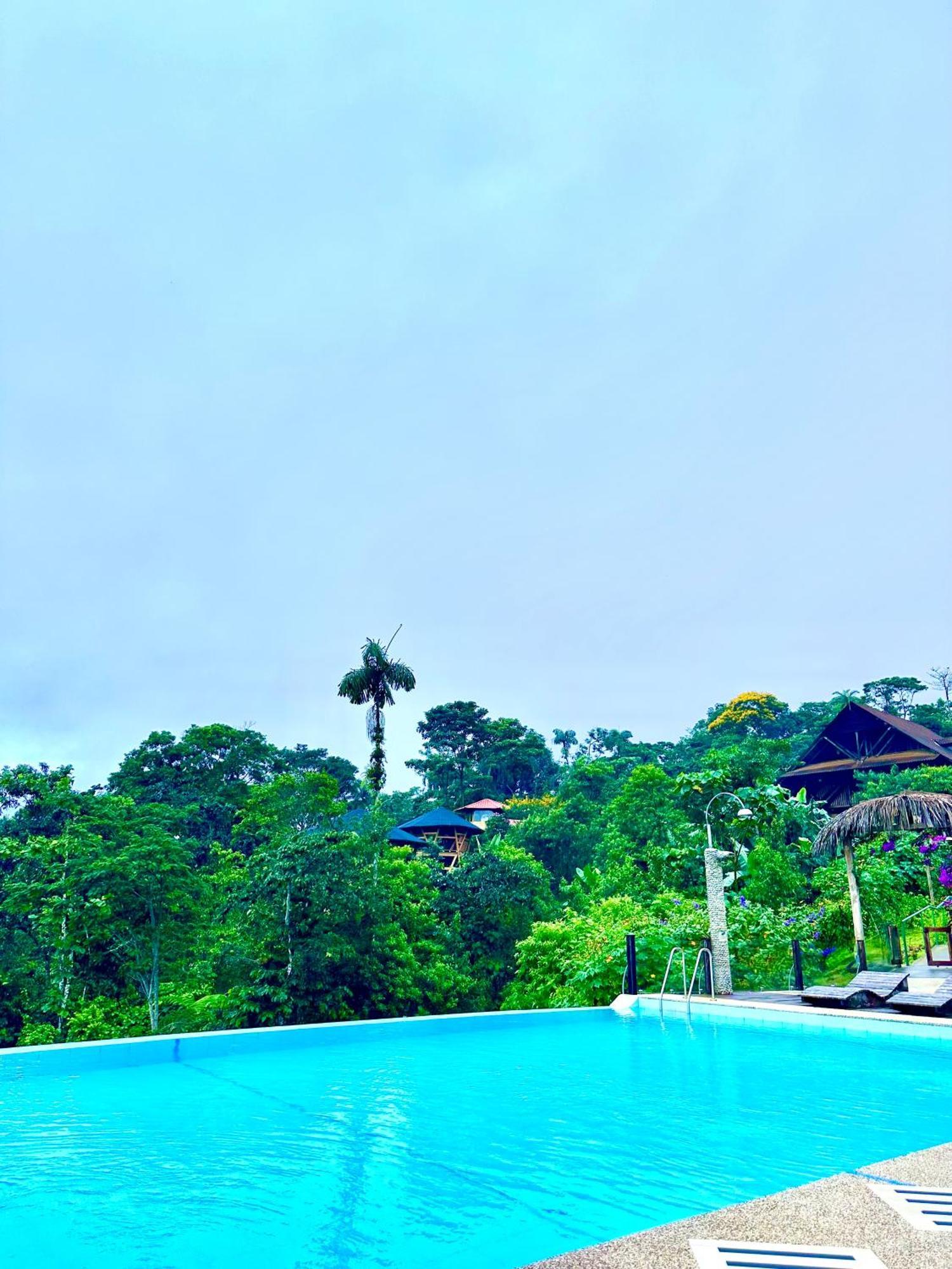 Heimatlos Amazon Lodge Puyo Ngoại thất bức ảnh